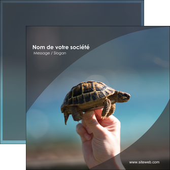 maquette en ligne a personnaliser flyers animal tortue animal parc animaux MLGI33674