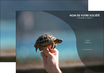 maquette en ligne a personnaliser flyers animal tortue animal parc animaux MLGI33676