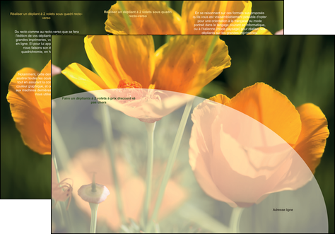 creer modele en ligne depliant 3 volets  6 pages  agriculture fleurs bouquetier horticulteur MIDCH34122