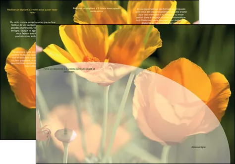creer modele en ligne depliant 3 volets  6 pages  agriculture fleurs bouquetier horticulteur MIFBE34122