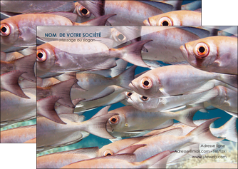 imprimerie flyers paysage poisson ban de poisson oeil de poisson MLGI34156