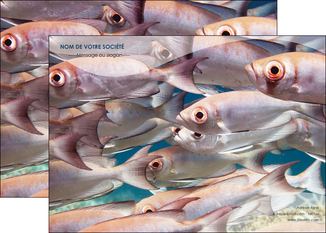 modele en ligne affiche paysage poisson ban de poisson oeil de poisson MLGI34158