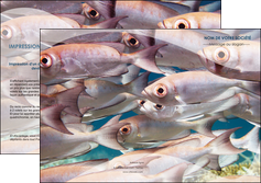 cree depliant 2 volets  4 pages  paysage poisson ban de poisson oeil de poisson MLGI34164
