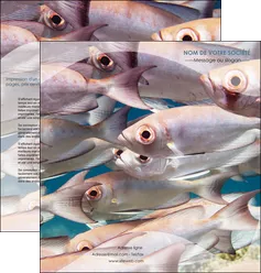 cree depliant 2 volets  4 pages  paysage poisson ban de poisson oeil de poisson MLGI34180