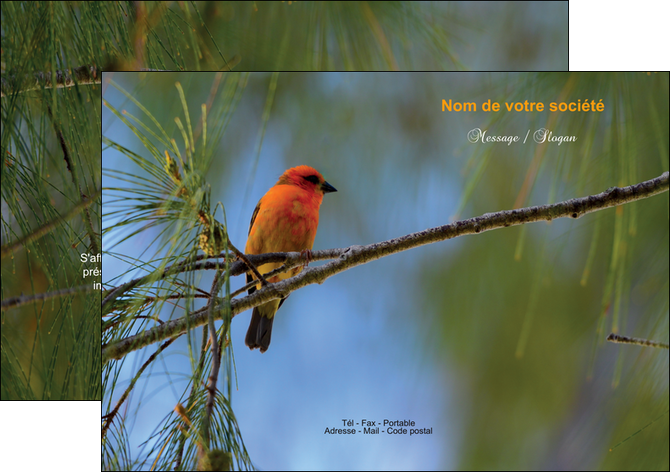 exemple flyers paysage nature parc naturel animaux parc naturel des oiseaux MIDCH34260