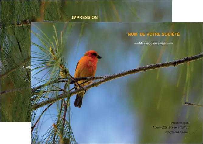 faire flyers paysage nature parc naturel animaux parc naturel des oiseaux MIFCH34264