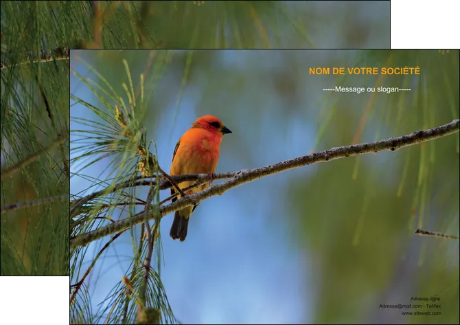cree affiche paysage nature parc naturel animaux parc naturel des oiseaux MLGI34268