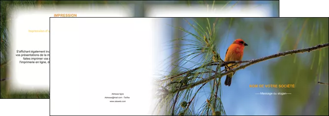 cree depliant 2 volets  4 pages  paysage nature parc naturel animaux parc naturel des oiseaux MIFBE34272