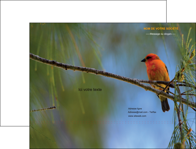 personnaliser modele de pochette a rabat paysage nature parc naturel animaux parc naturel des oiseaux MMIF34276