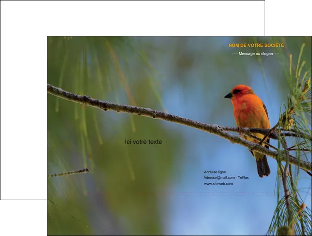 personnaliser modele de pochette a rabat paysage nature parc naturel animaux parc naturel des oiseaux MLIGLU34276