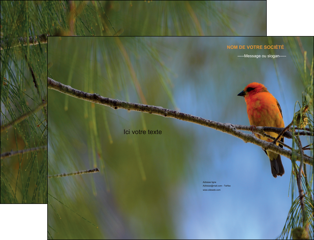 modele pochette a rabat paysage nature parc naturel animaux parc naturel des oiseaux MIDLU34278
