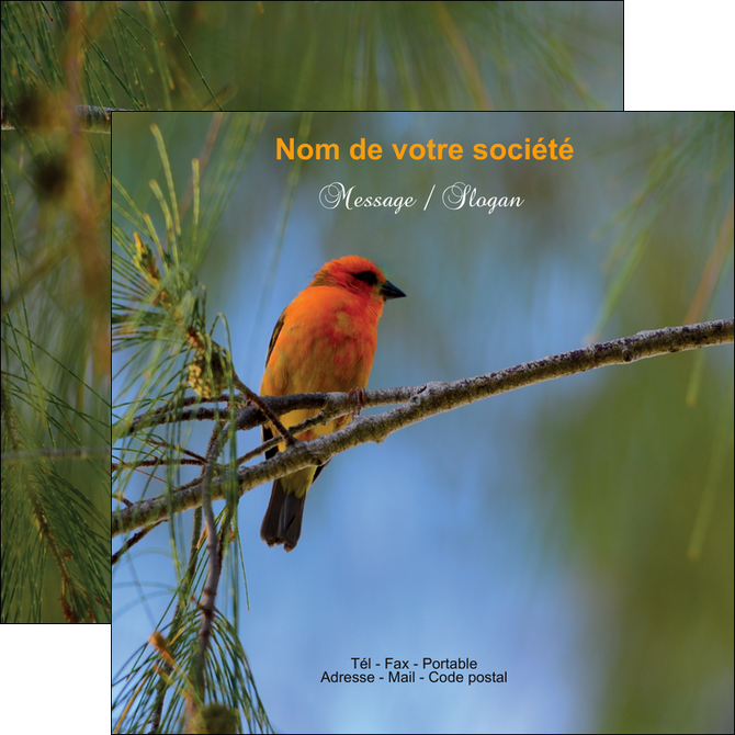 creation graphique en ligne flyers paysage nature parc naturel animaux parc naturel des oiseaux MIDCH34286