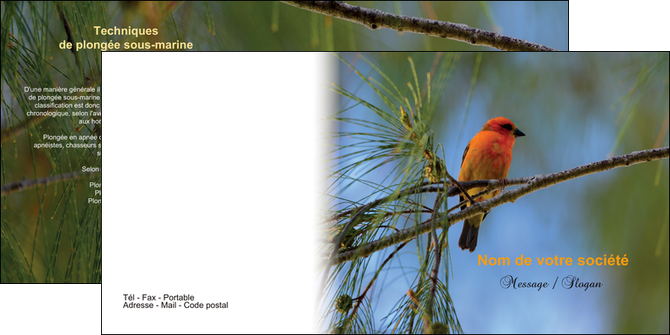 personnaliser maquette depliant 2 volets  4 pages  paysage nature parc naturel animaux parc naturel des oiseaux MIDBE34288