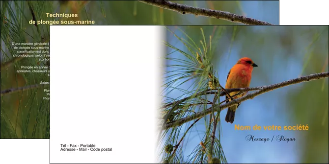 personnaliser maquette depliant 2 volets  4 pages  paysage nature parc naturel animaux parc naturel des oiseaux MLIGLU34288