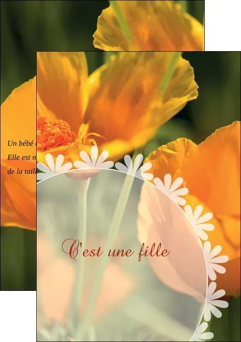 imprimerie flyers faire part de naissance carte de naissance carte pour naissance MLGI34398