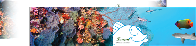 imprimerie depliant 2 volets  4 pages  chasse et peche plongeur corail poissons MIDCH34426