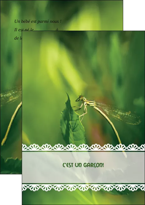 personnaliser maquette flyers faire part de naissance carte pour naissance feuilles MID34458