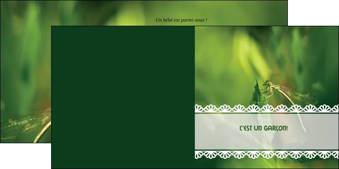 modele en ligne depliant 2 volets  4 pages  faire part de naissance carte pour naissance feuilles MLGI34462