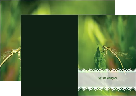 cree depliant 2 volets  4 pages  faire part de naissance carte pour naissance feuilles MLGI34464