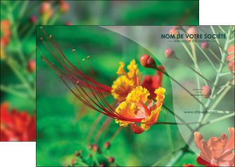 impression flyers fleuriste et jardinage nature colore couleurs MLIP34912