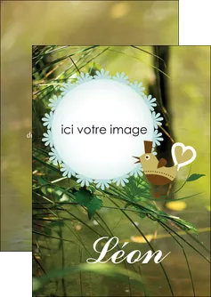 creer modele en ligne flyers faire part de naissance vert nature MLIGLU35354