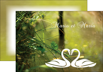 modele flyers plante verte nature MLGI35522