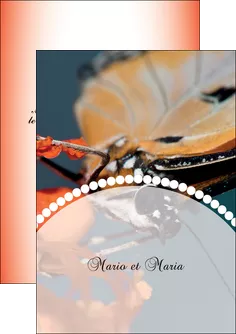 cree flyers papillon insecte nature MLGI35732