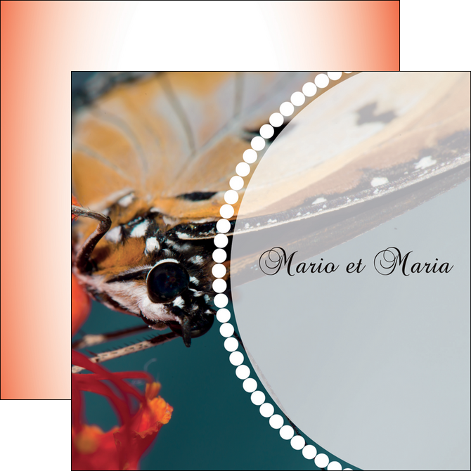 personnaliser maquette flyers papillon insecte nature MLGI35736