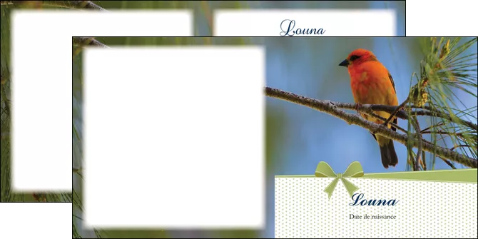 modele depliant 2 volets  4 pages  oiseau nature arbre MIFCH36344
