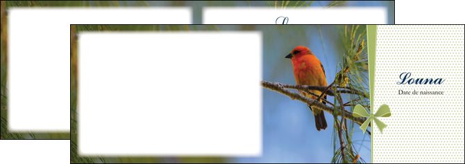imprimerie depliant 2 volets  4 pages  oiseau nature arbre MID36348