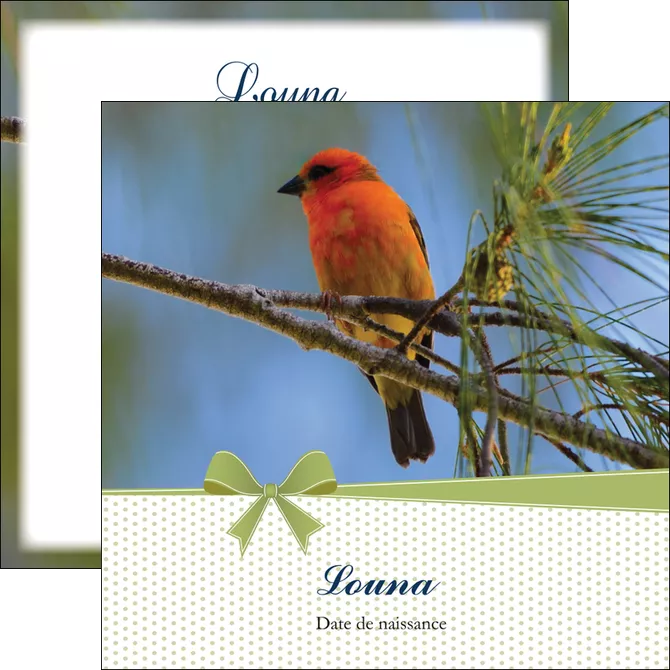 exemple flyers oiseau nature arbre MLGI36350