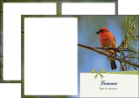 faire depliant 2 volets  4 pages  oiseau nature arbre MLGI36352