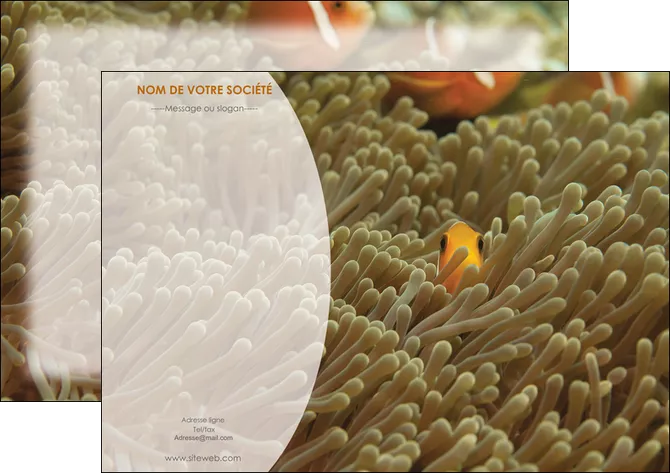 personnaliser modele de affiche animal nemo macro original MIFBE36446