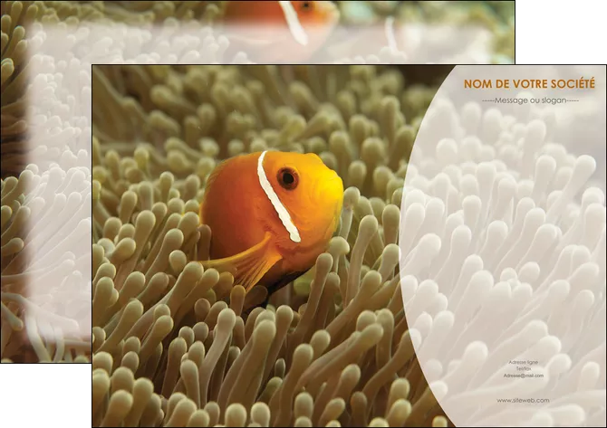 creation graphique en ligne affiche paysage belle photo nemo poisson MIFBE36846