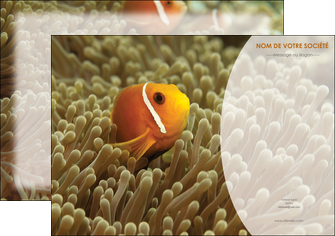 creation graphique en ligne affiche paysage belle photo nemo poisson MIDLU36846