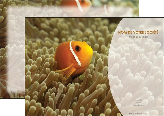 realiser affiche paysage belle photo nemo poisson MLGI36874