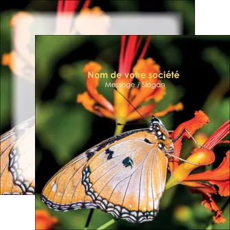 faire flyers belle photo de papillon macro couleur MLGI36978