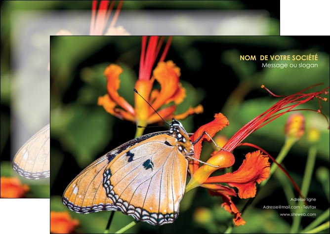 maquette en ligne a personnaliser flyers belle photo de papillon macro couleur MLGI36982