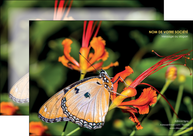 creation graphique en ligne affiche belle photo de papillon macro couleur MLGI36990