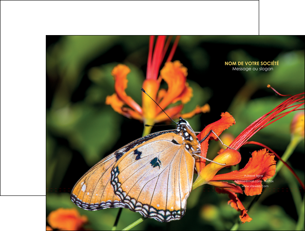 exemple pochette a rabat belle photo de papillon macro couleur MLGI37002