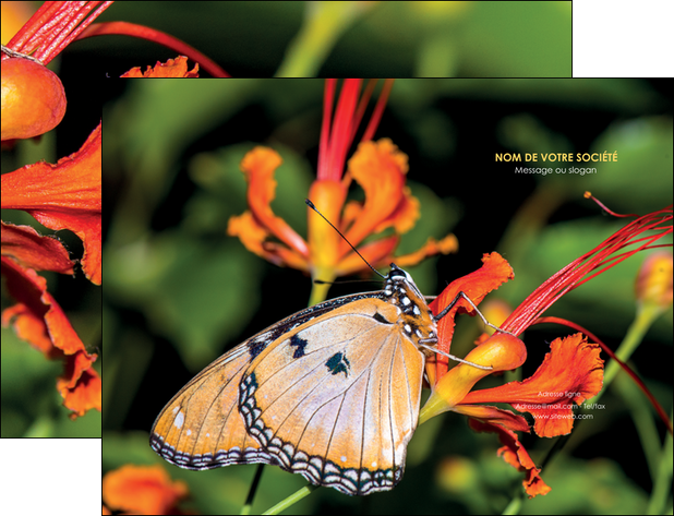 personnaliser maquette pochette a rabat belle photo de papillon macro couleur MLGI37004