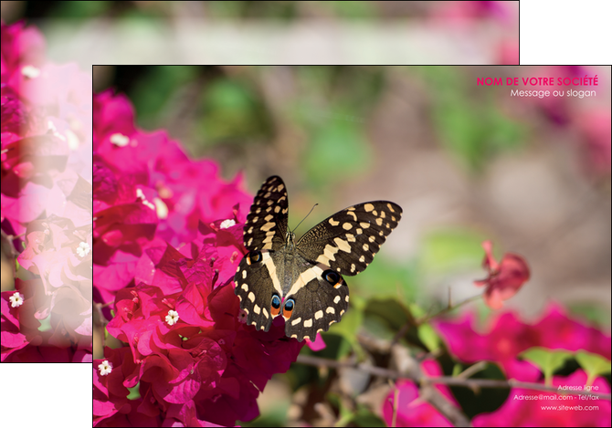 exemple affiche agriculture papillons fleurs nature MLGI37118
