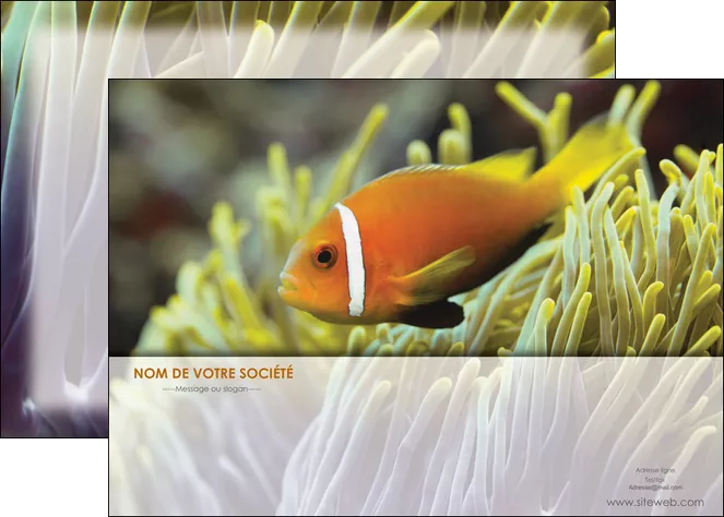modele affiche animal originale belle photo idee MIFBE37466