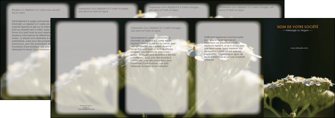 exemple depliant 4 volets  8 pages  fleuriste et jardinage plantes cactus fleurs MLGI37656