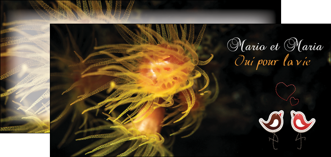 faire flyers meduse sous marine plongee MLGI37810