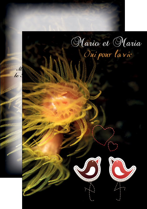 imprimerie flyers meduse sous marine plongee MLGI37816