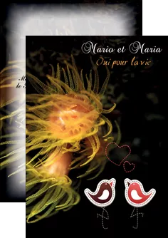 imprimerie flyers meduse sous marine plongee MLGI37816