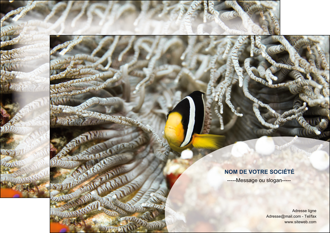 modele flyers animal poisson plongee nature MIF37922