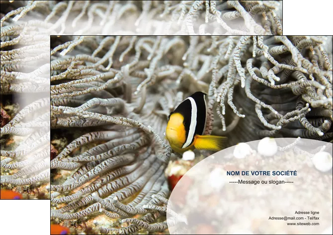 modele flyers animal poisson plongee nature MIFBE37922