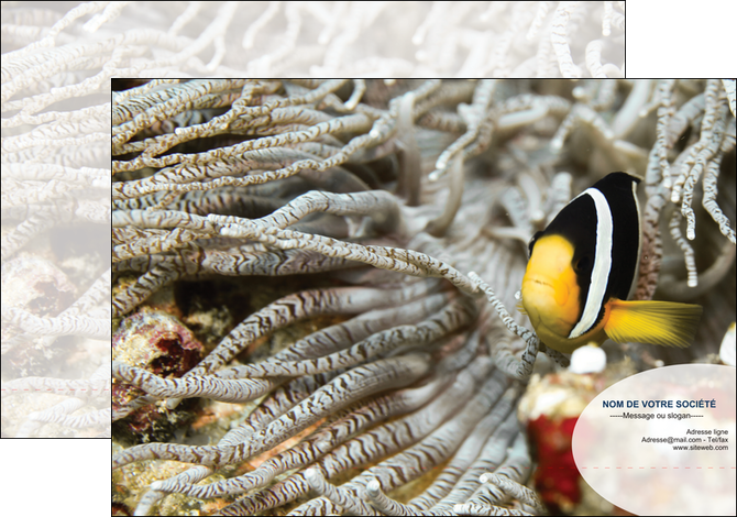 modele en ligne pochette a rabat animal poisson plongee nature MIS37936